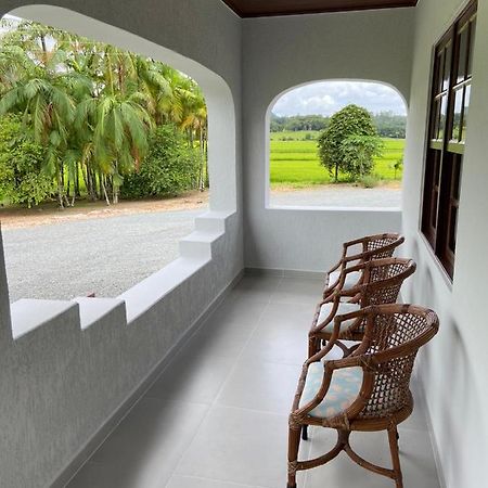 Casa Colonial Em Rio Dos Cedros Villa Ngoại thất bức ảnh